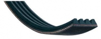 Cinghia Poly-V